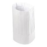 Egreen Disposable Koksmuts (50 Stuks)